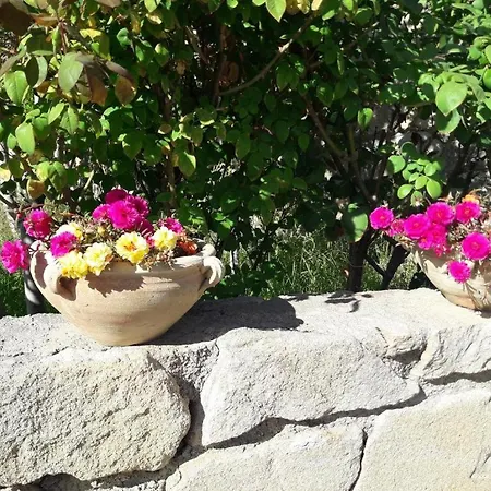 度假居 Eura Con Piscina Gratuita Dall'11 Luglio Al 31 Agosto *